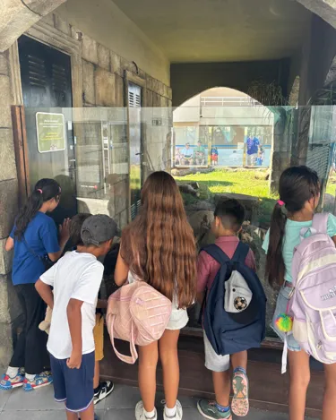 SEALIFE Benalmadena Fundacion Hogar Abierto Web 2