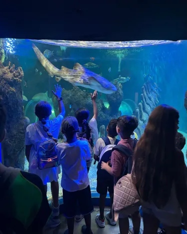 SEALIFE Benalmadena Fundacion Hogar Abierto Web 1