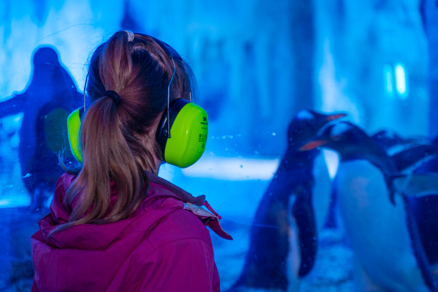 Young girl with noise cancelling headphones at SEA LIFE London Aquarium