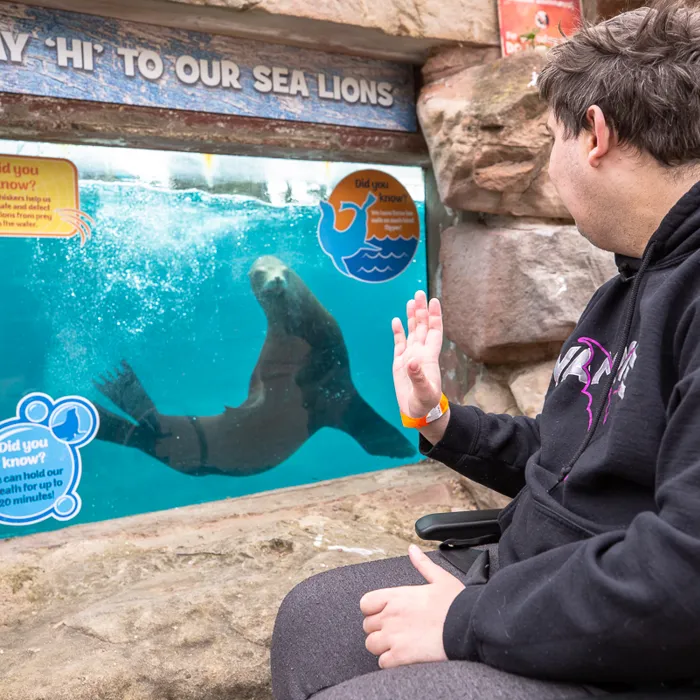 Young man waving at a sea lion